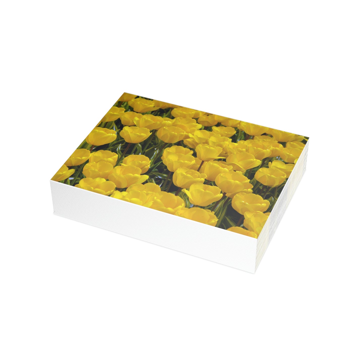 Flowers 24 Greeting Card Bundles (envelopes not included)
