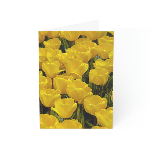Flowers 23 Greeting Cards (1, 10, 30, and 50pcs)