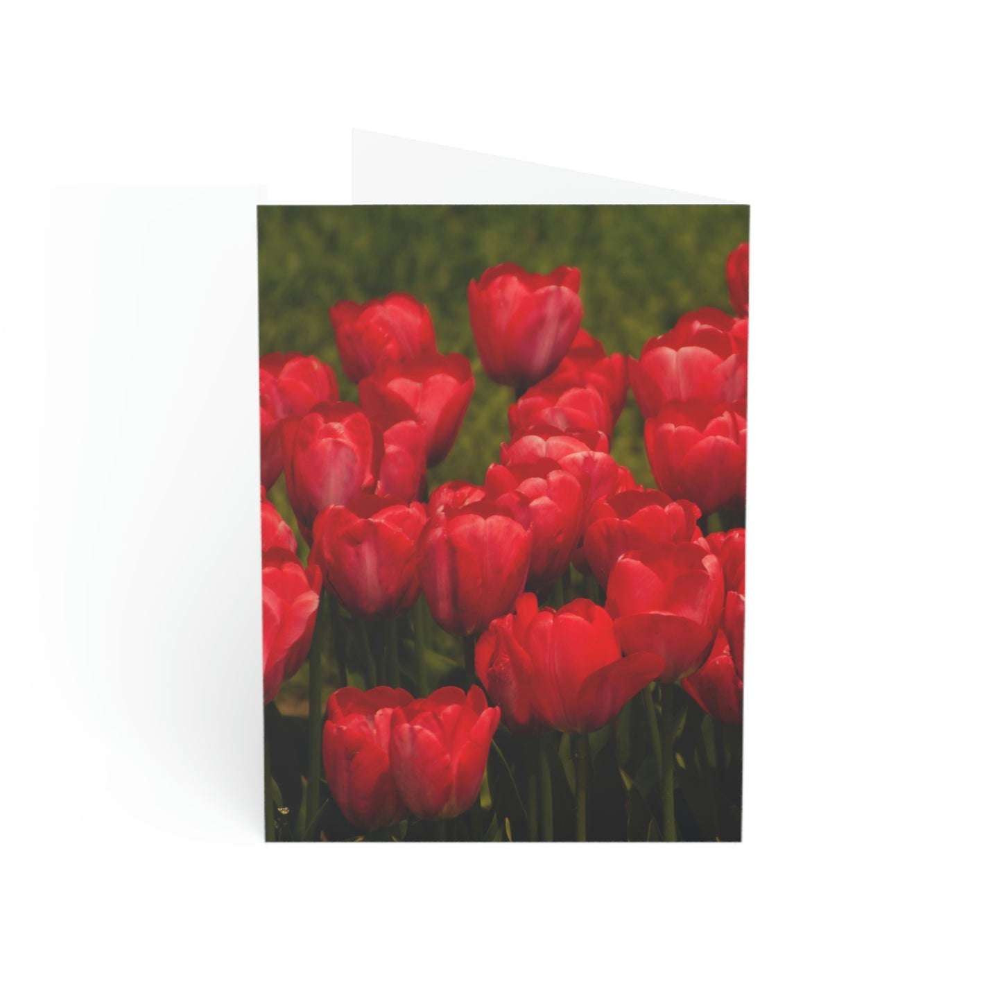 Flowers 22 Greeting Cards (1, 10, 30, and 50pcs)