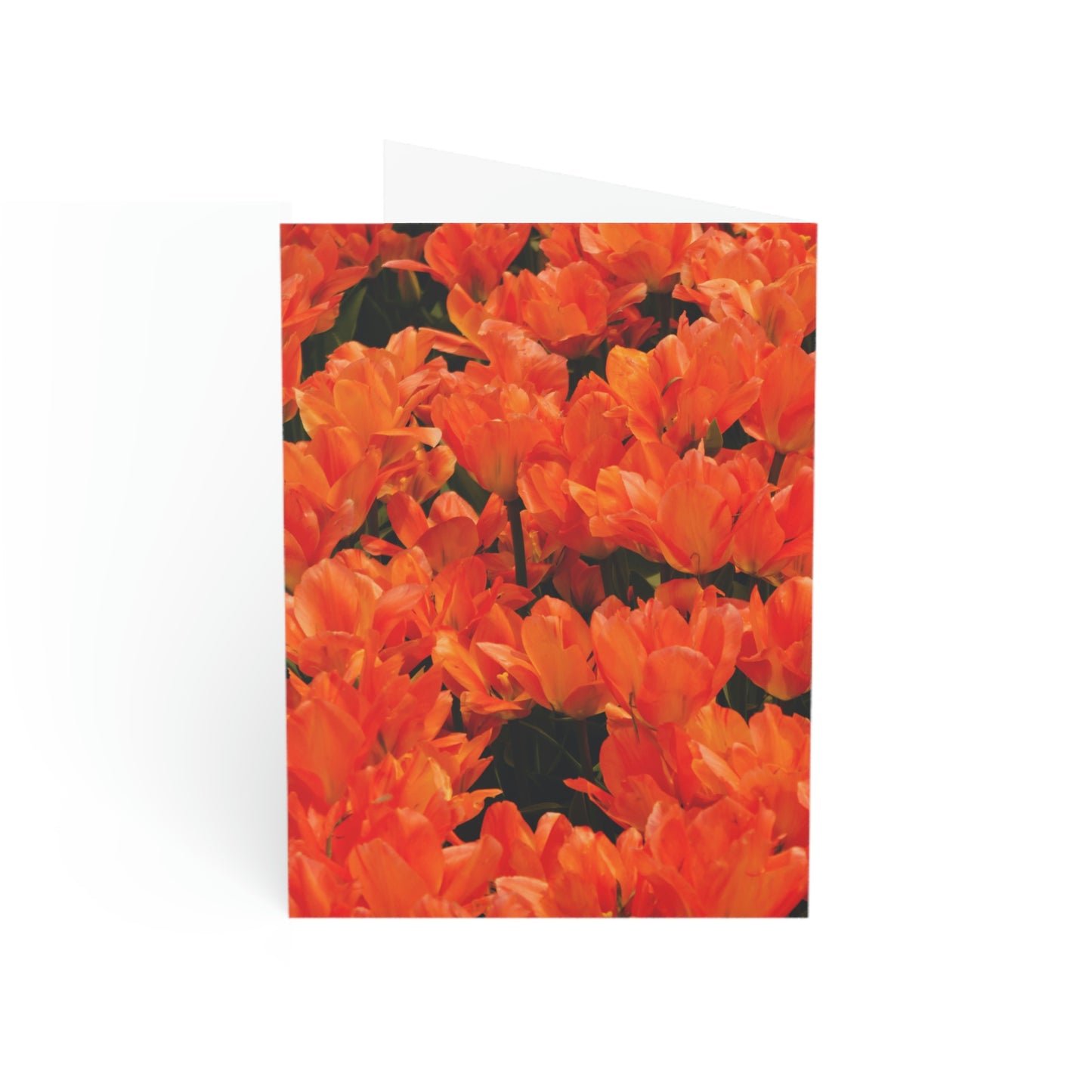 Flowers 03 Greeting Cards (1, 10, 30, and 50pcs)