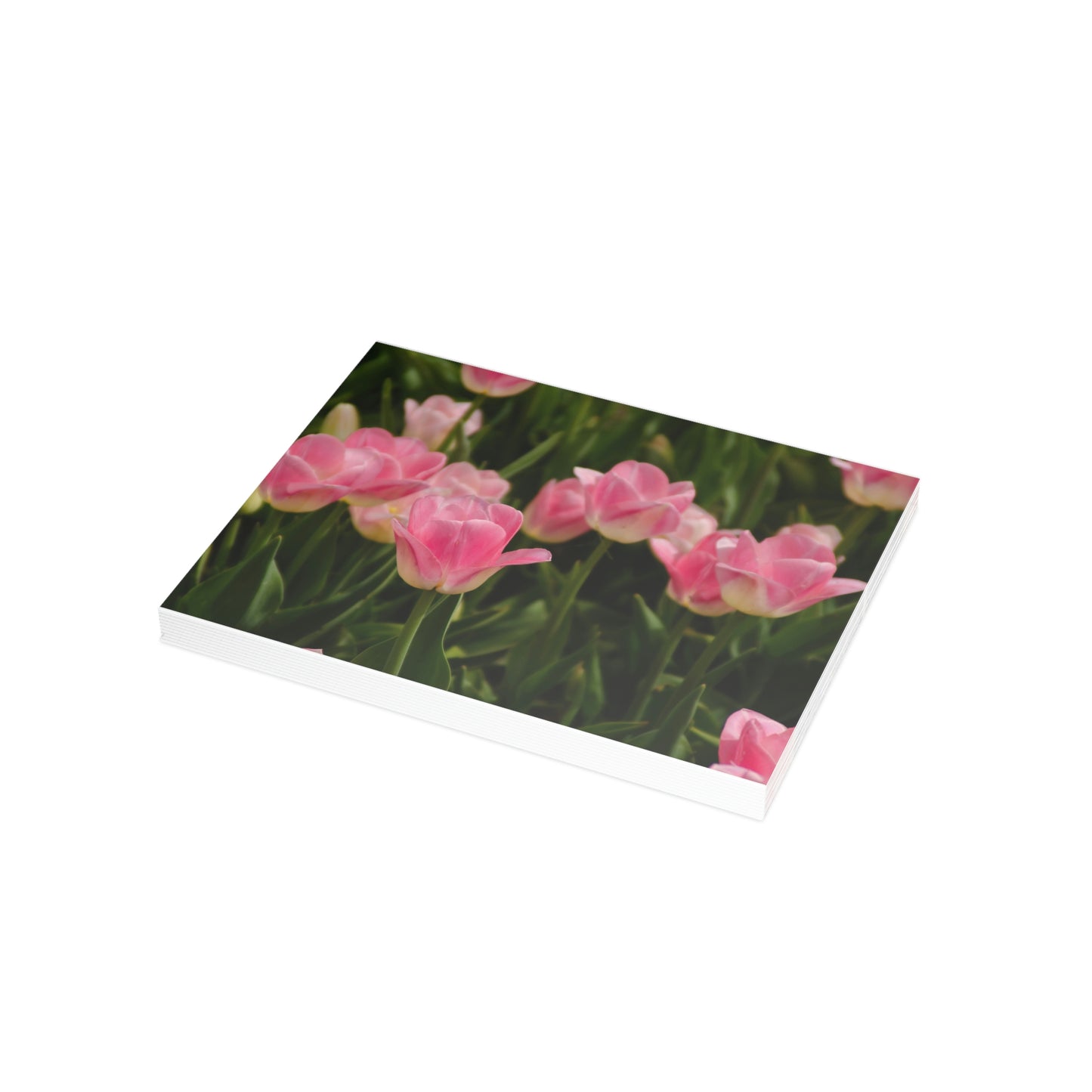 Flowers 17 Greeting Card Bundles (envelopes not included)