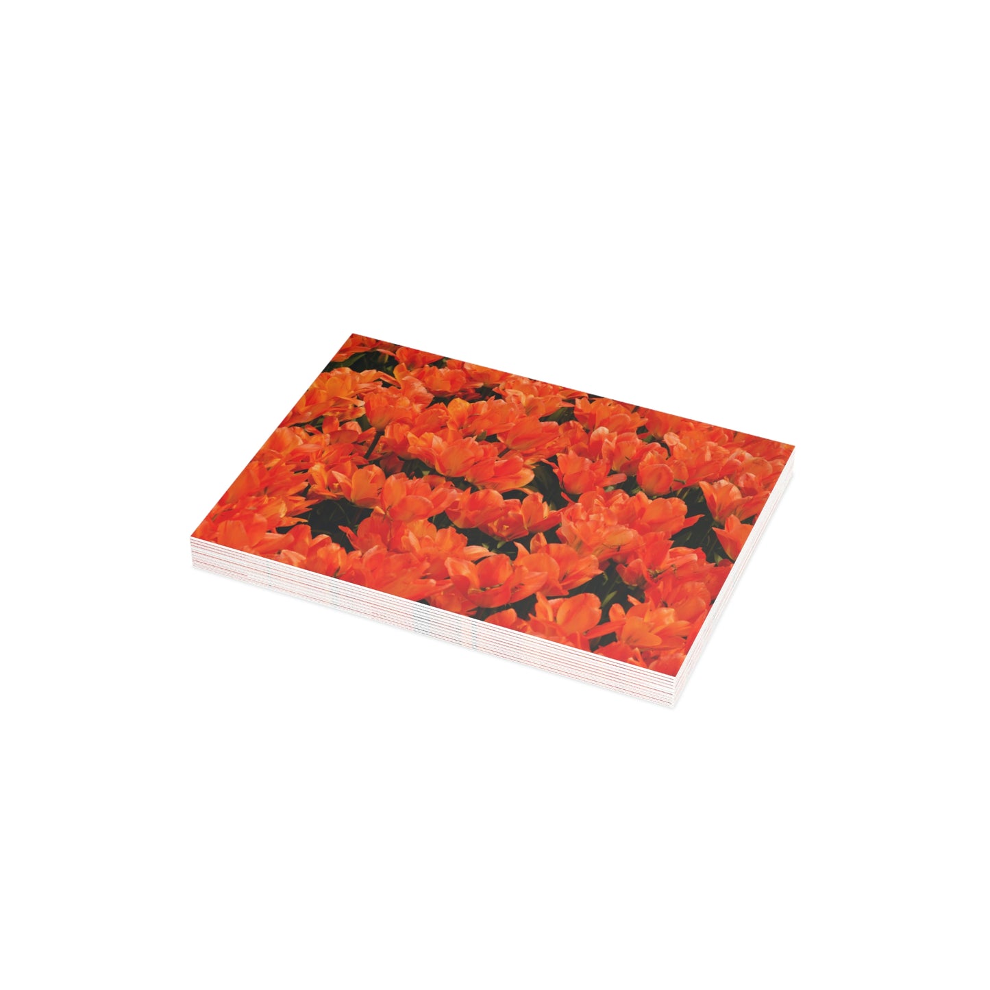 Flowers 02 Greeting Card Bundles (envelopes not included)