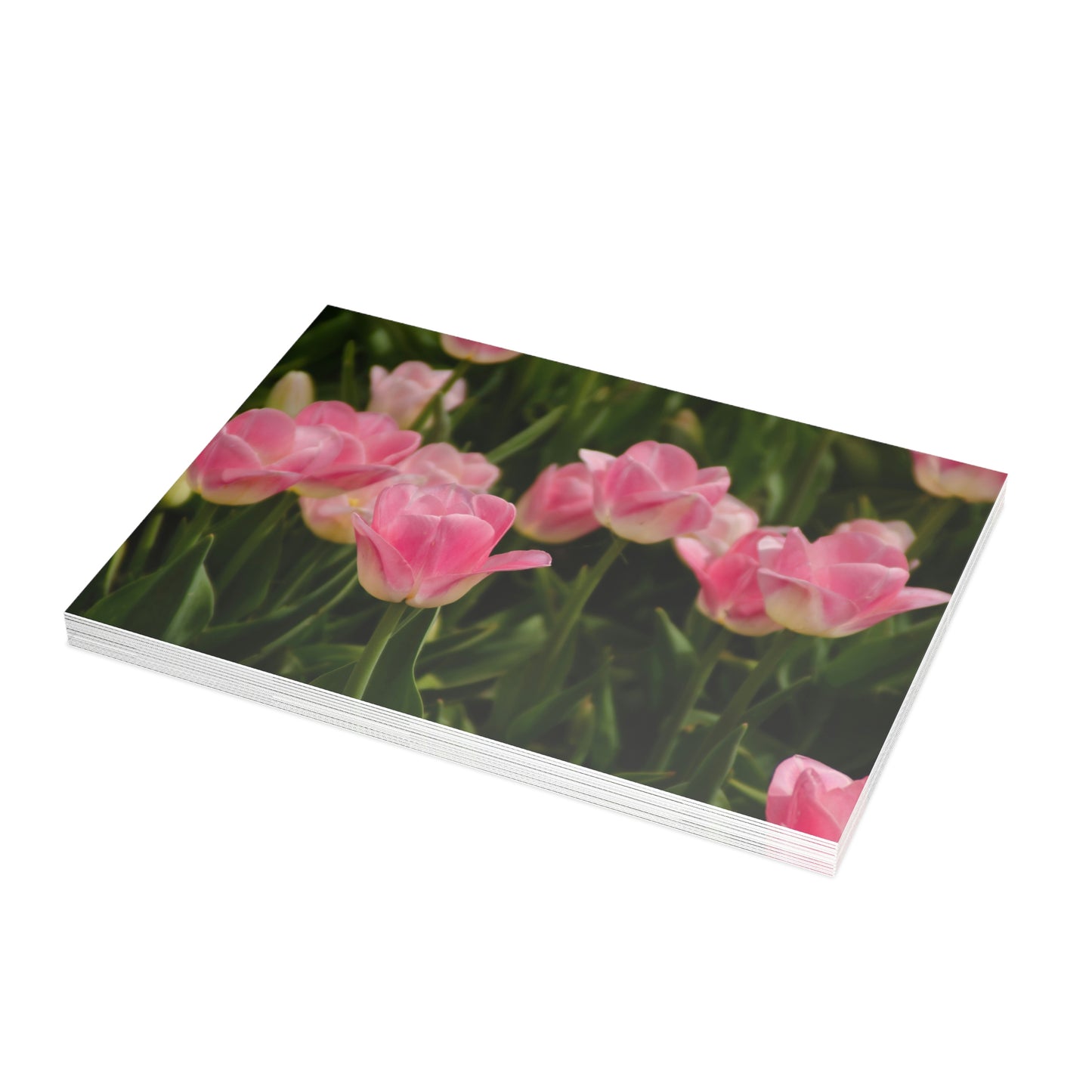 Flowers 17 Greeting Card Bundles (envelopes not included)