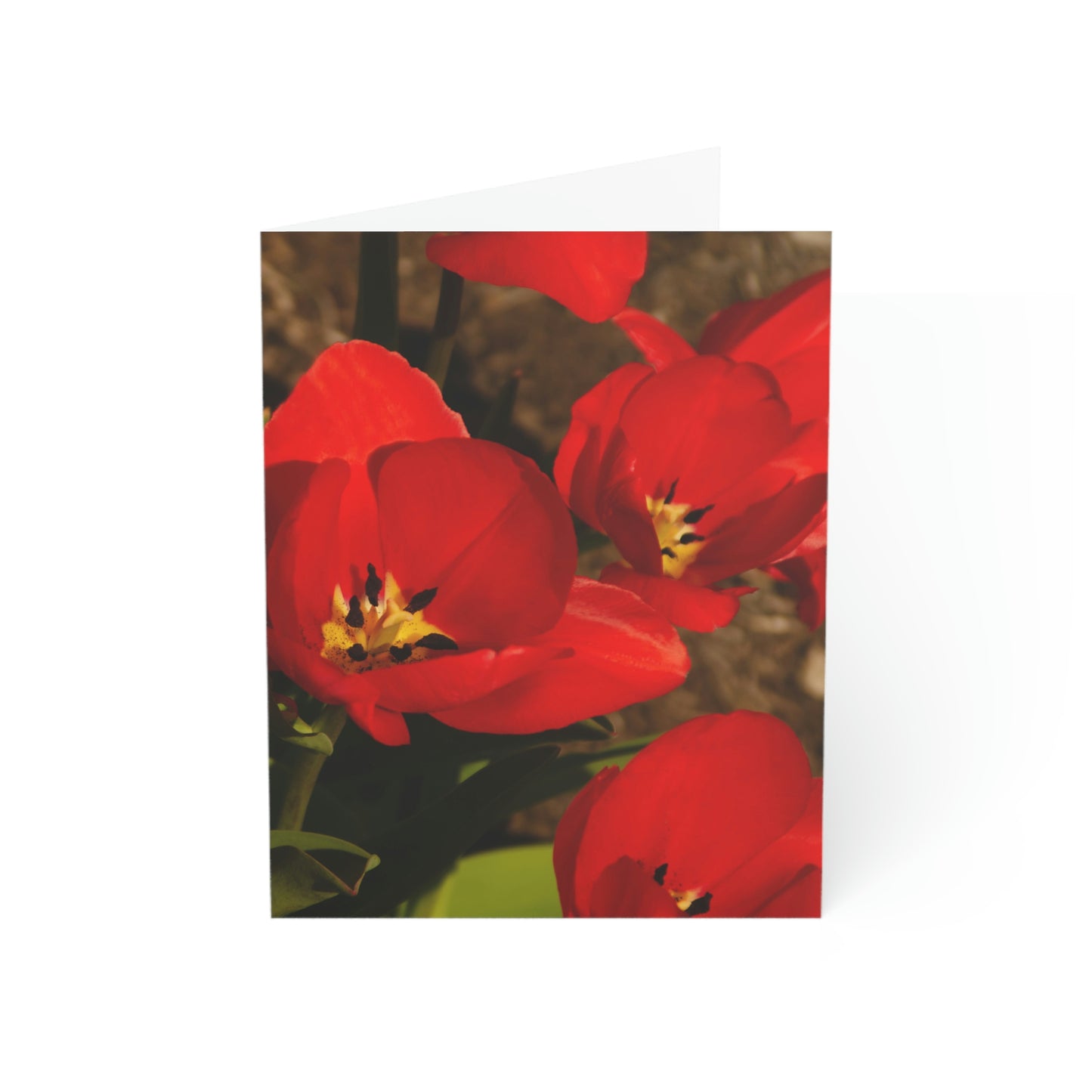 Flowers 05 Greeting Cards (1, 10, 30, and 50pcs)