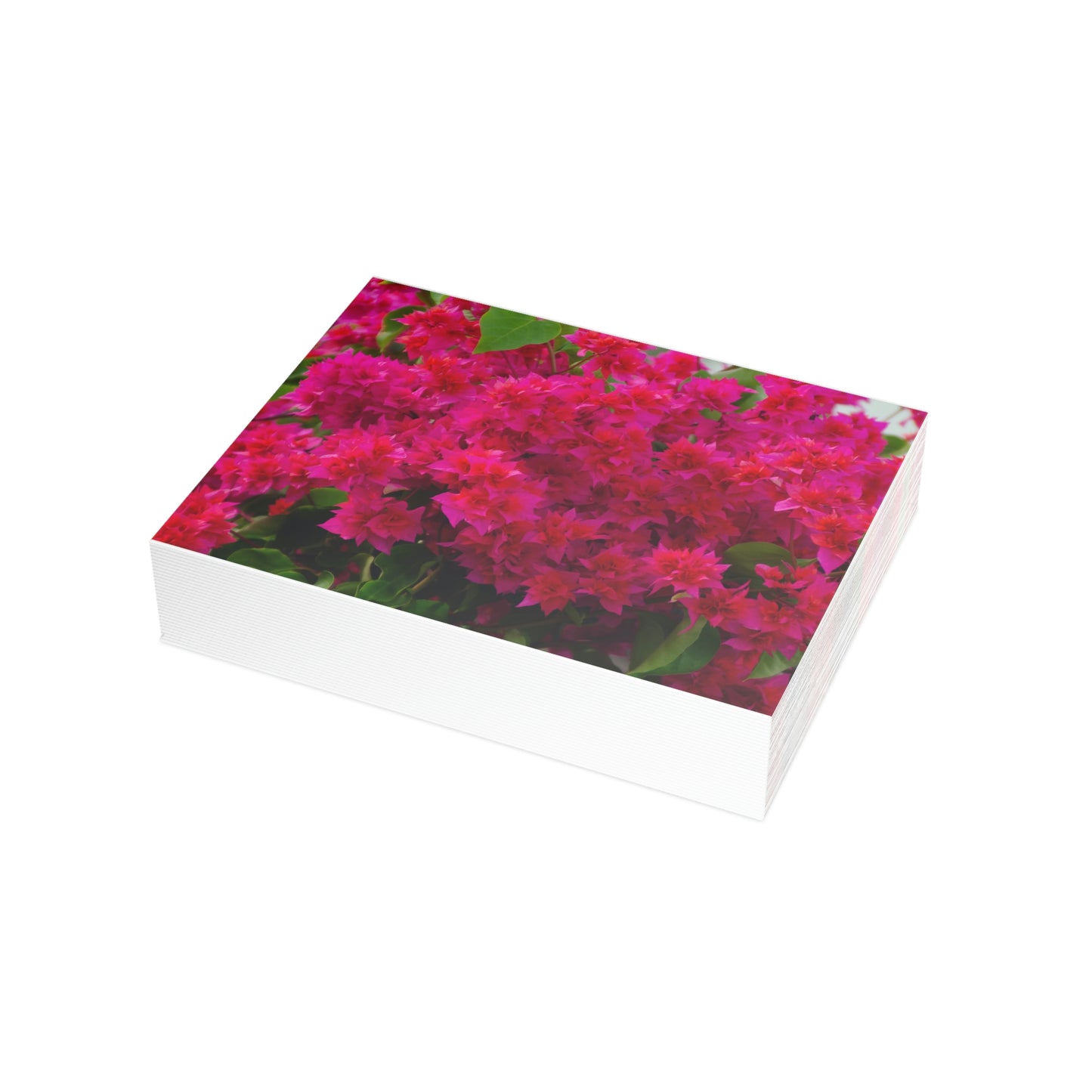 Flowers 28 Greeting Card Bundles (envelopes not included)