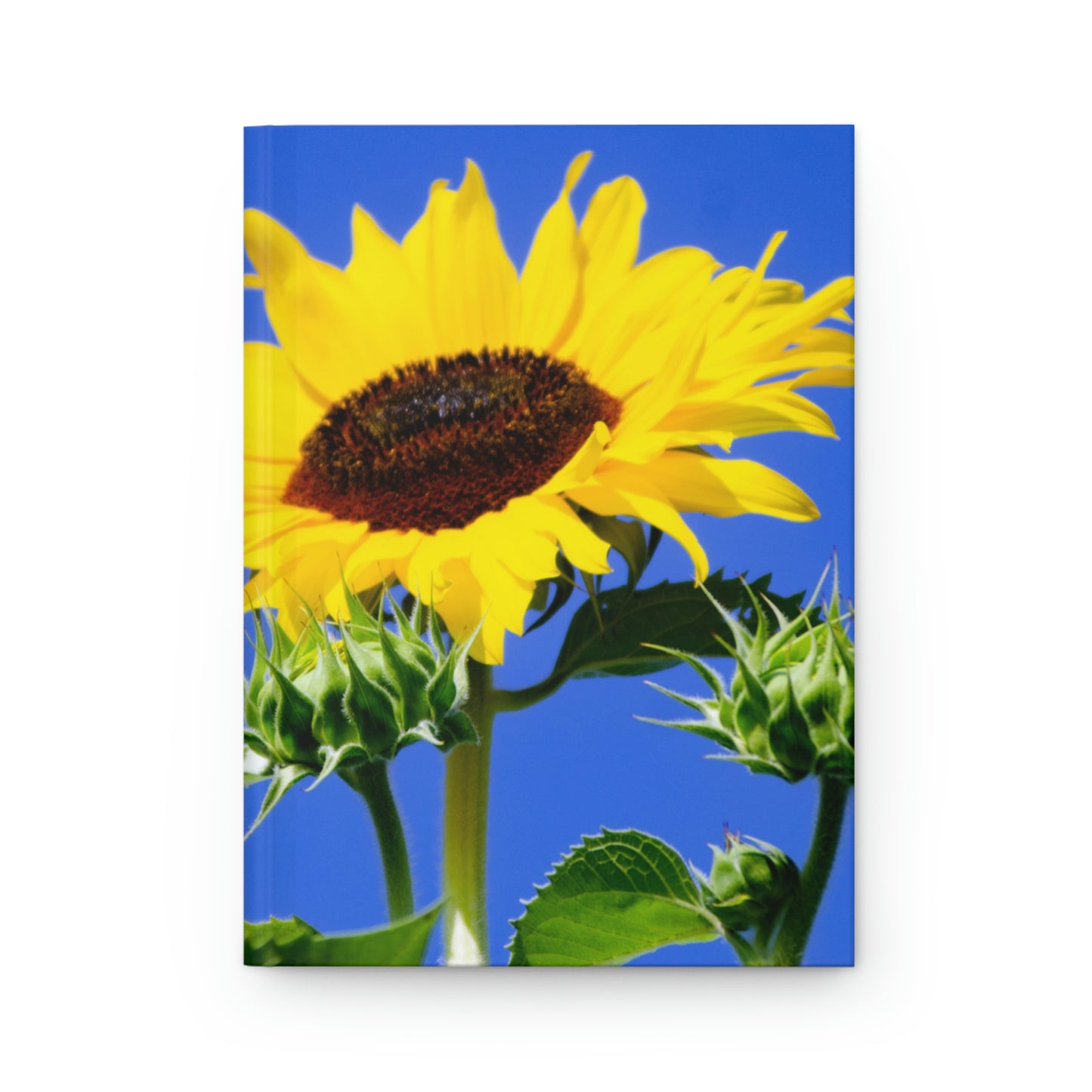 Flowers 02 Hardcover Journal Matte