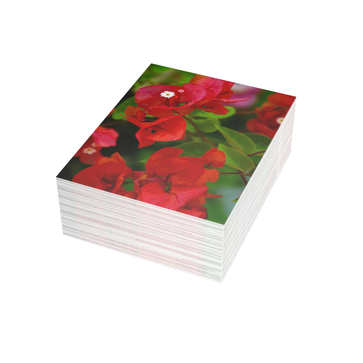 Flowers 27 Greeting Card Bundles (envelopes not included)