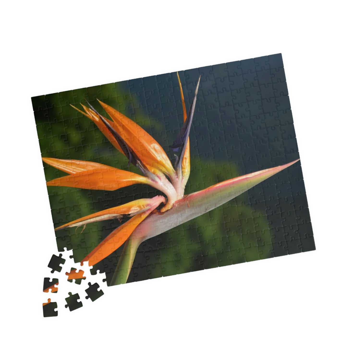 Flowers 27 Puzzle (110, 252, 500, 1014-piece)