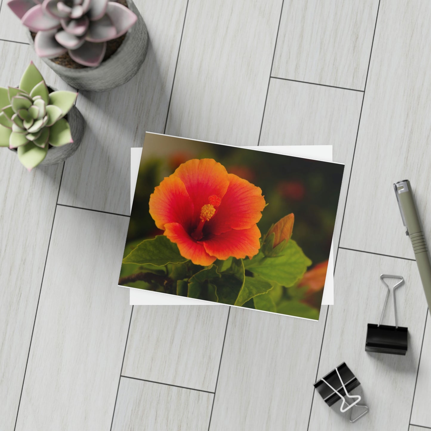 Flowers 31 Greeting Card Bundles (envelopes not included)