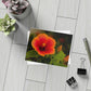 Flowers 31 Greeting Card Bundles (envelopes not included)