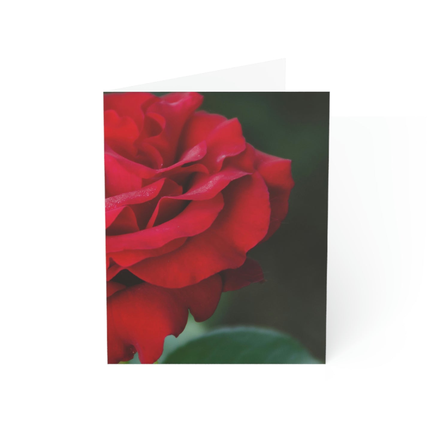 Flowers 13 Greeting Cards (1, 10, 30, and 50pcs)
