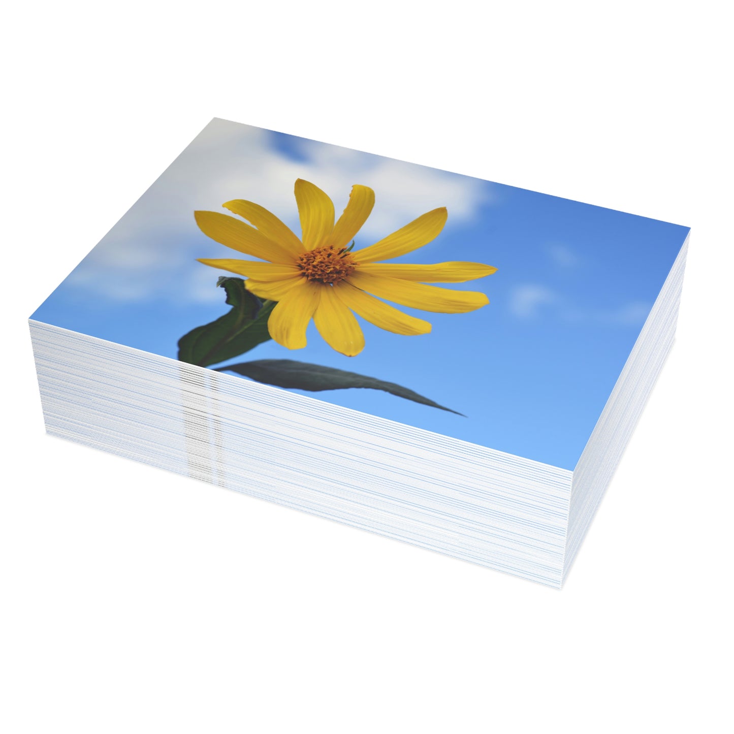 Flowers 32 Greeting Card Bundles (envelopes not included)