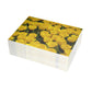 Flowers 24 Greeting Card Bundles (envelopes not included)