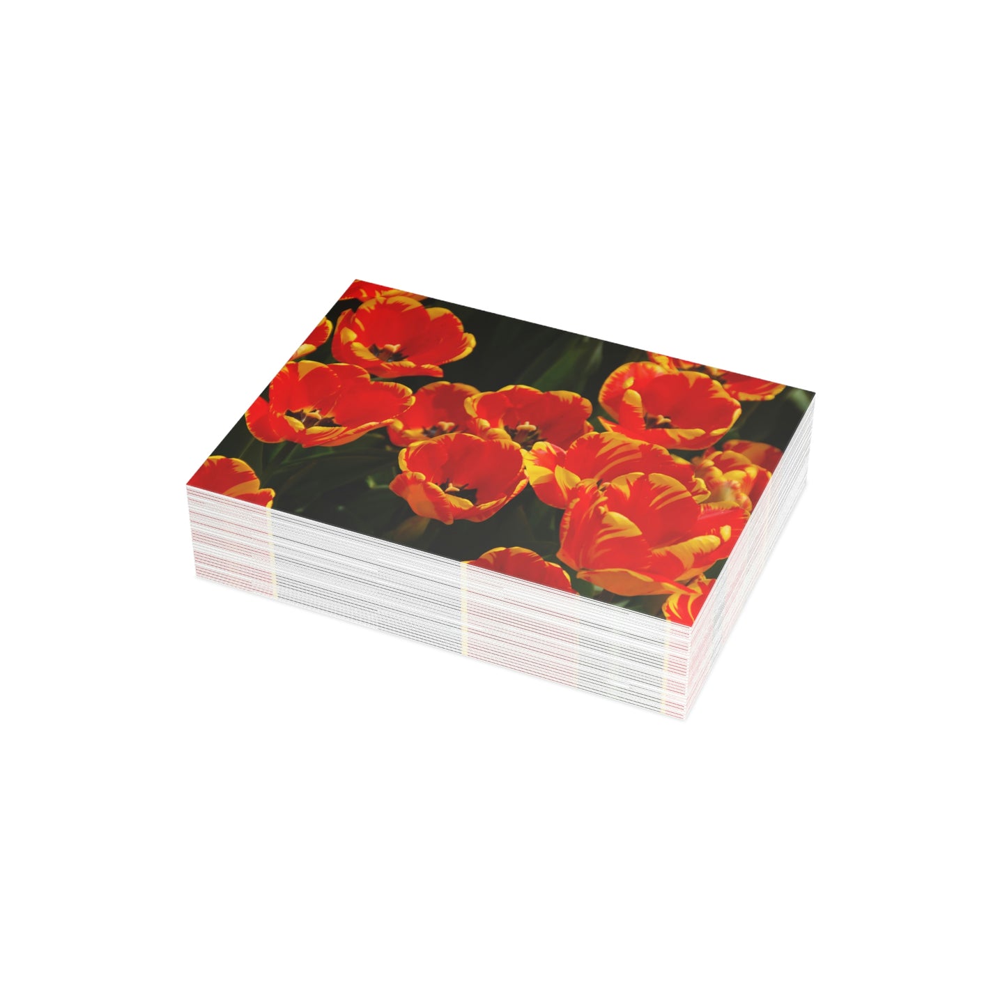 Flowers 20 Greeting Card Bundles (envelopes not included)
