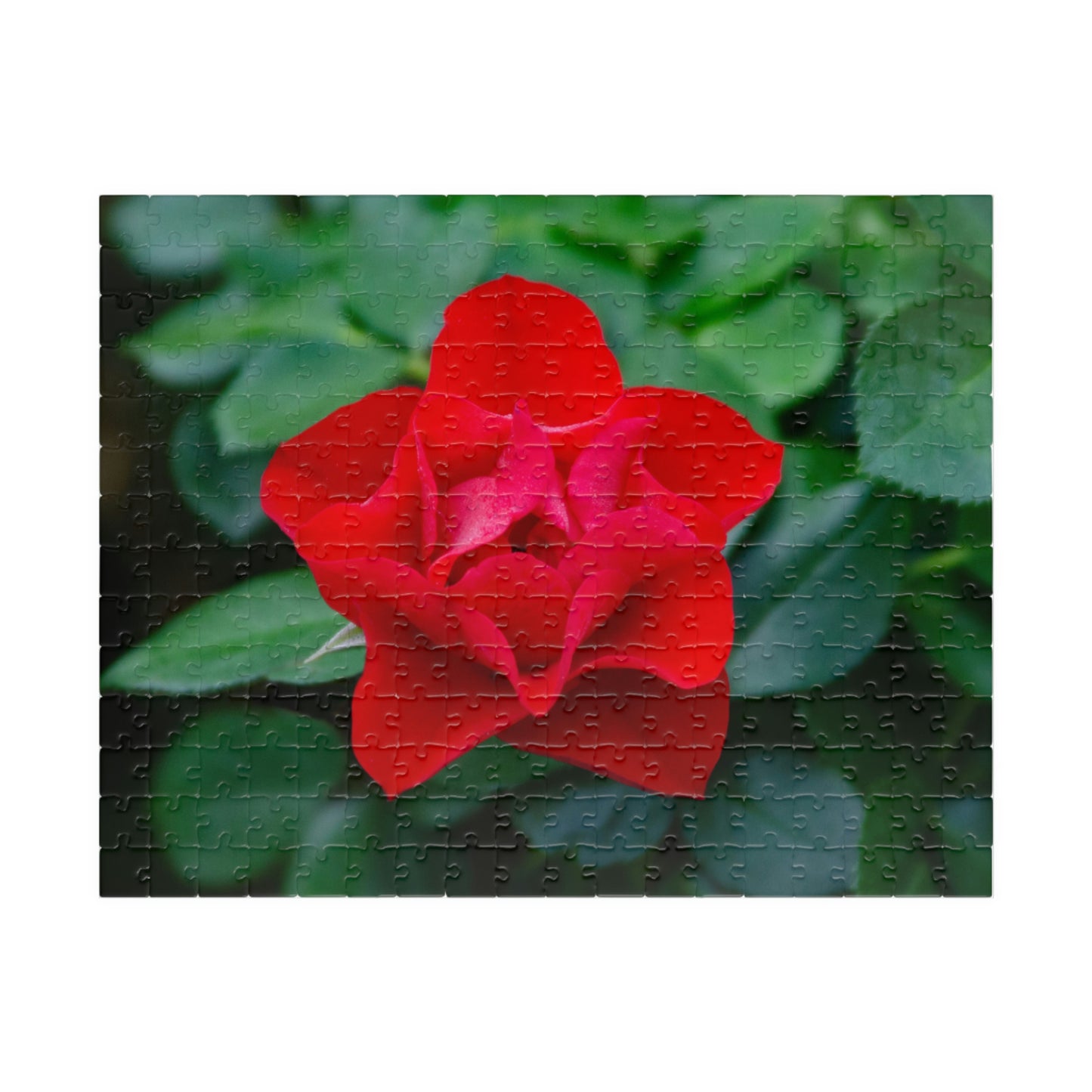 Flowers 07 Puzzle (110, 252, 500, 1014-piece)