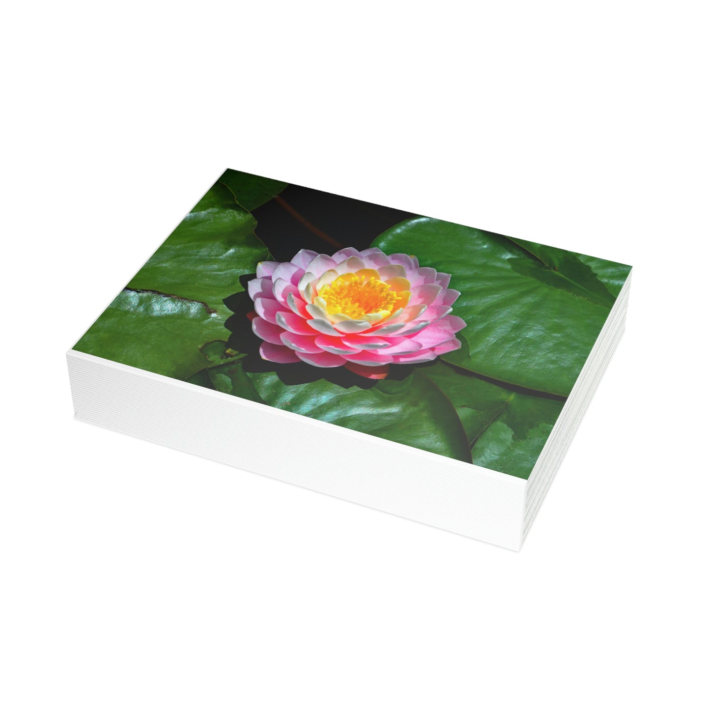 Flowers 25 Greeting Card Bundles (envelopes not included)