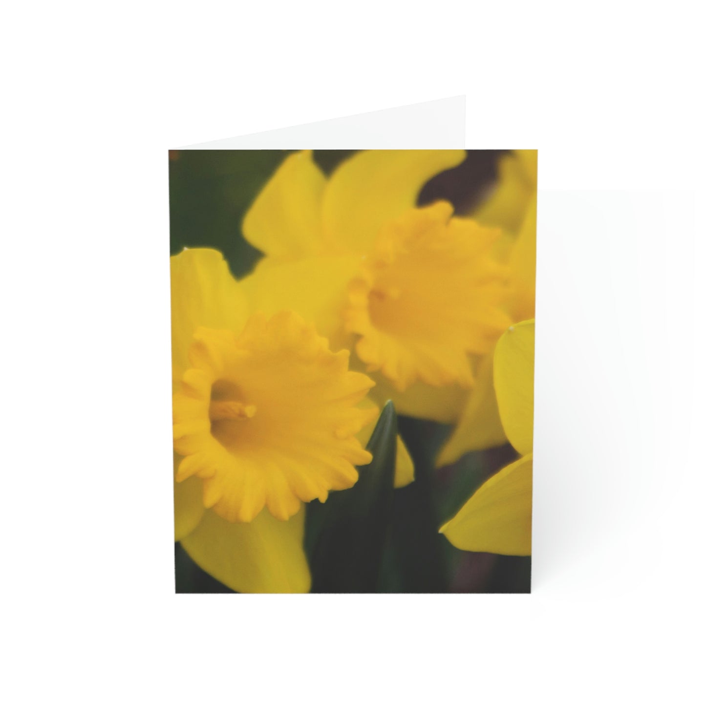 Flowers 08 Greeting Cards (1, 10, 30, and 50pcs)