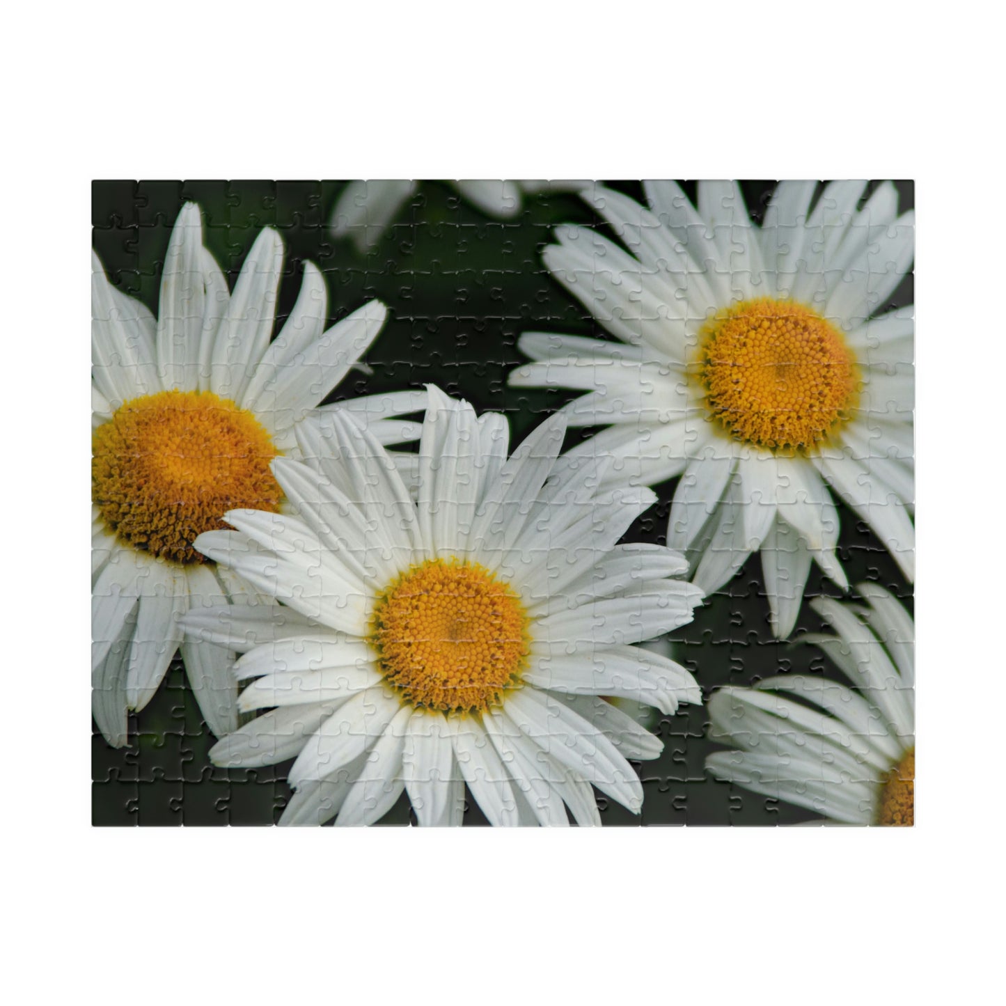 Flowers 01 Puzzle (110, 252, 500, 1014-piece)