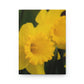 Flowers 09 Hardcover Journal Matte