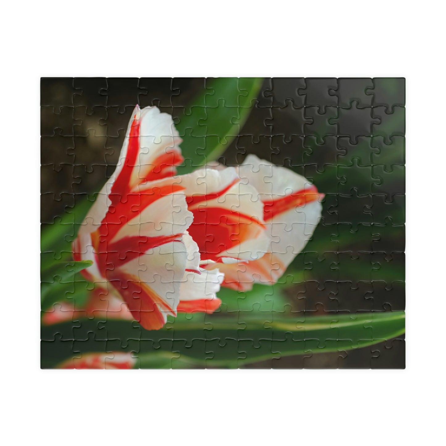 Flowers 06 Puzzle (110, 252, 500, 1014-piece)