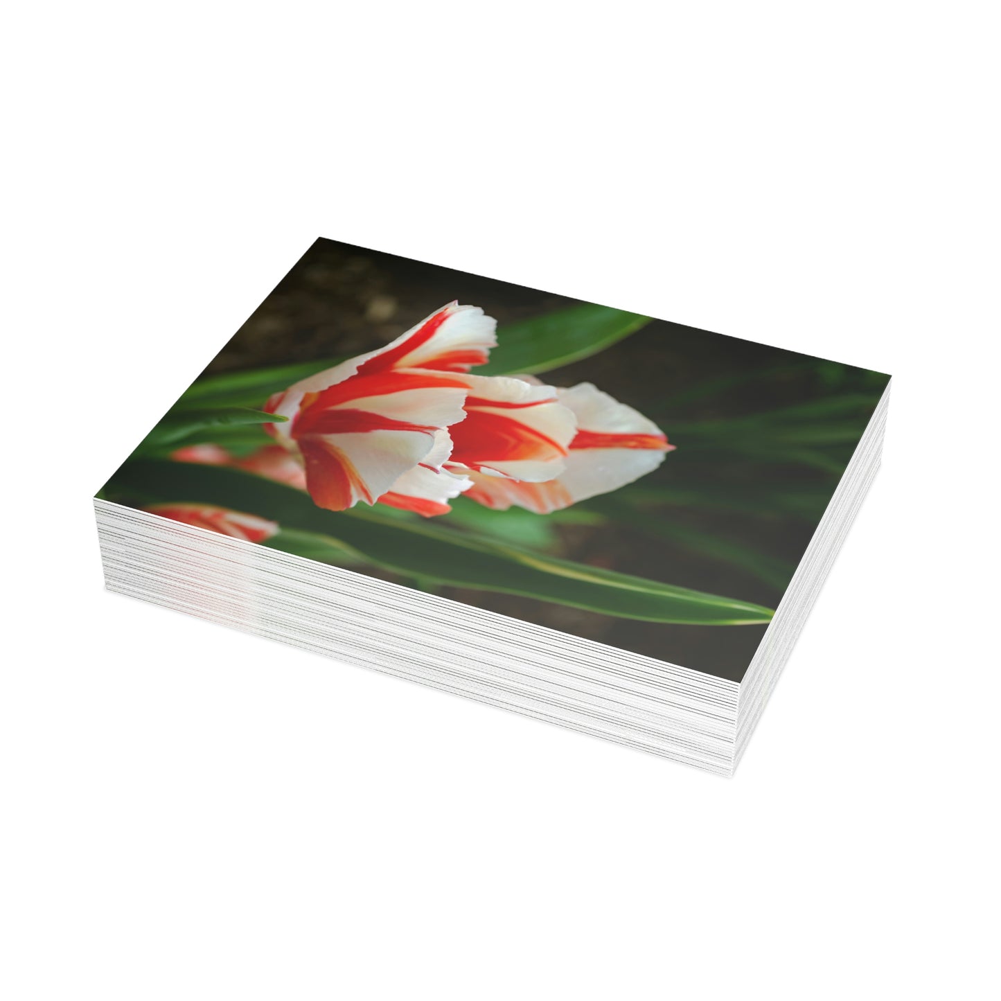 Flowers 04 Greeting Card Bundles (envelopes not included)