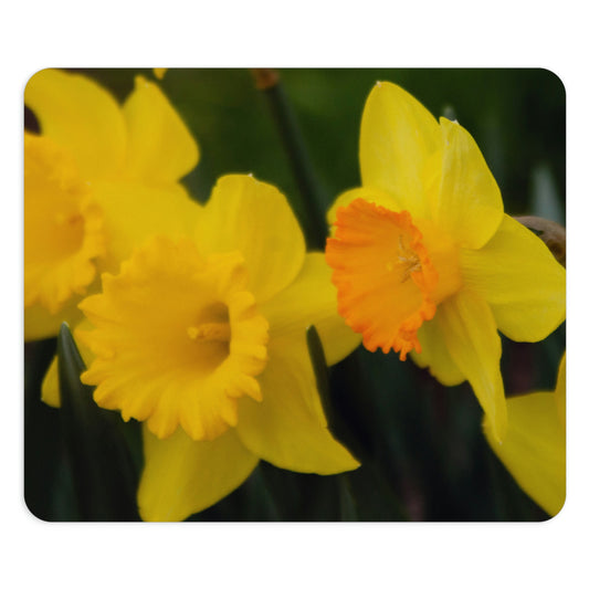 Flowers 10 Rectangles Mouse Pad