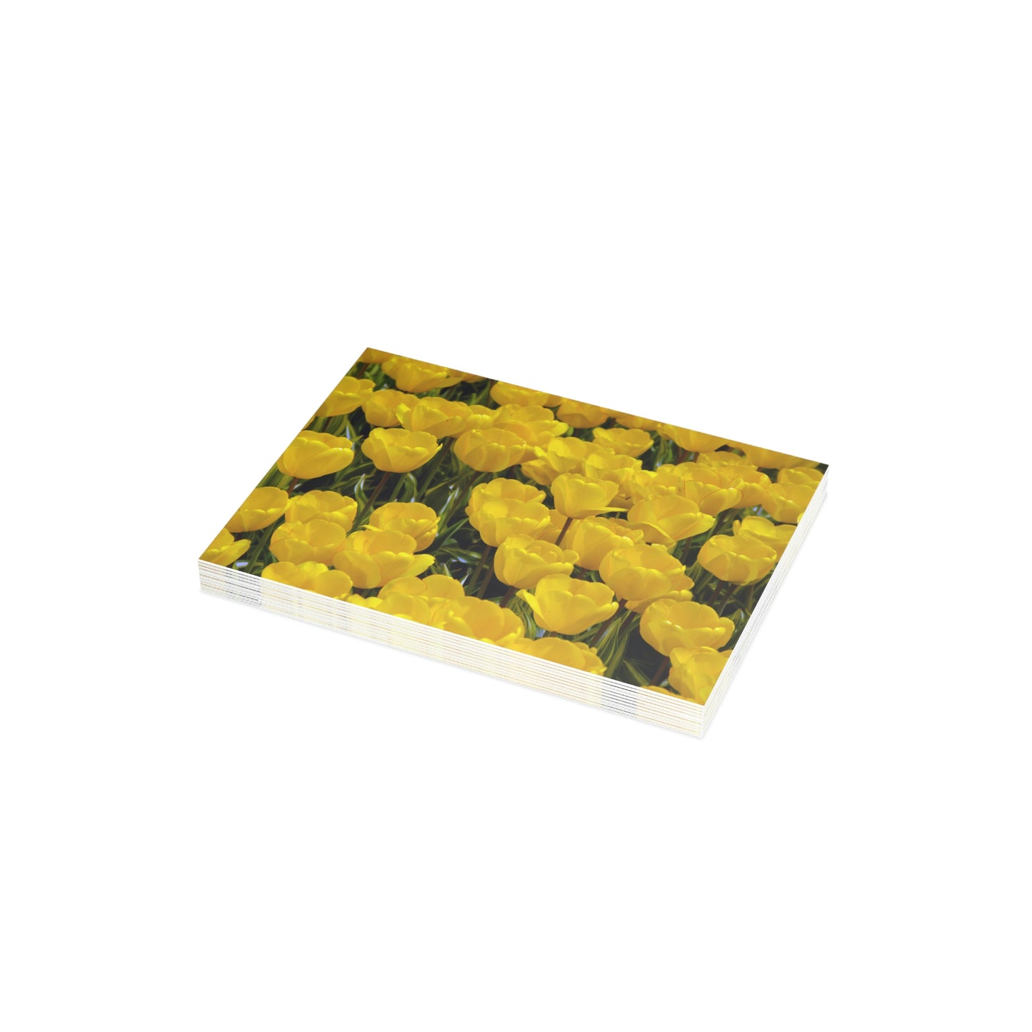 Flowers 24 Greeting Card Bundles (envelopes not included)