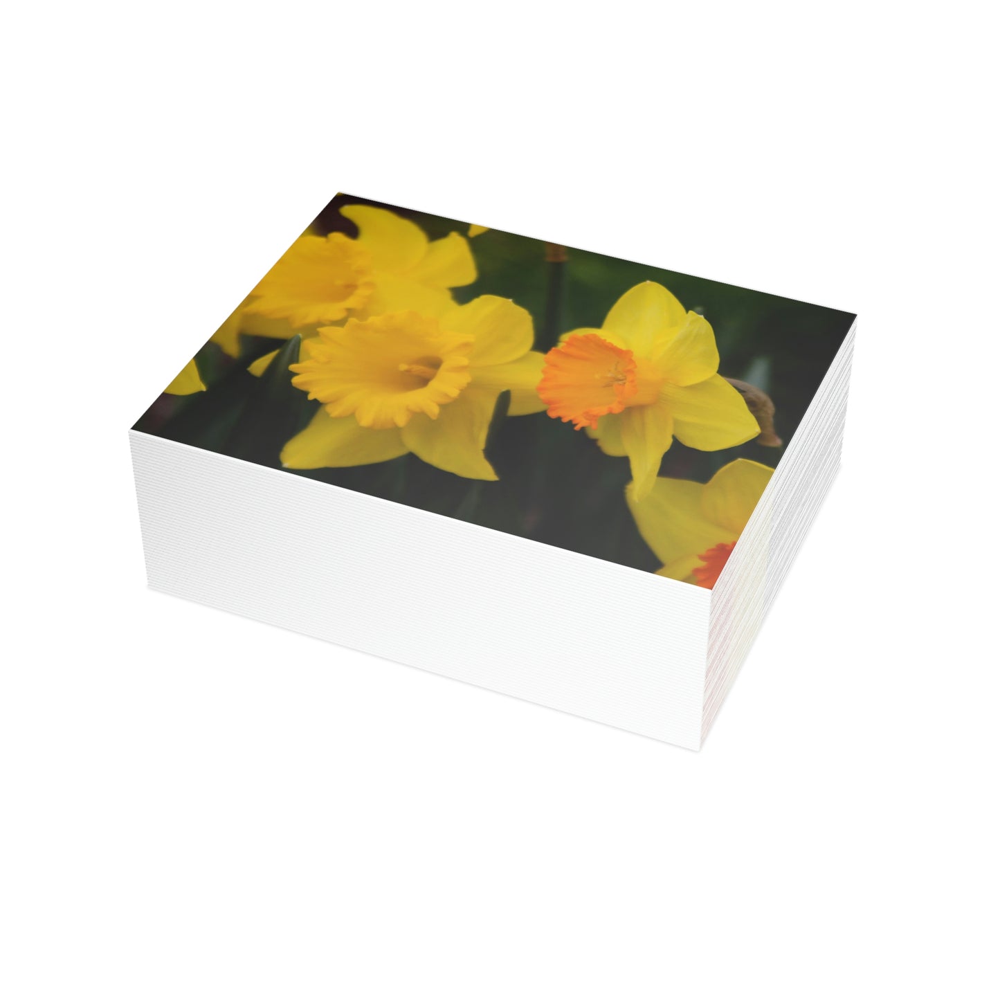 Flowers 10 Greeting Card Bundles (envelopes not included)