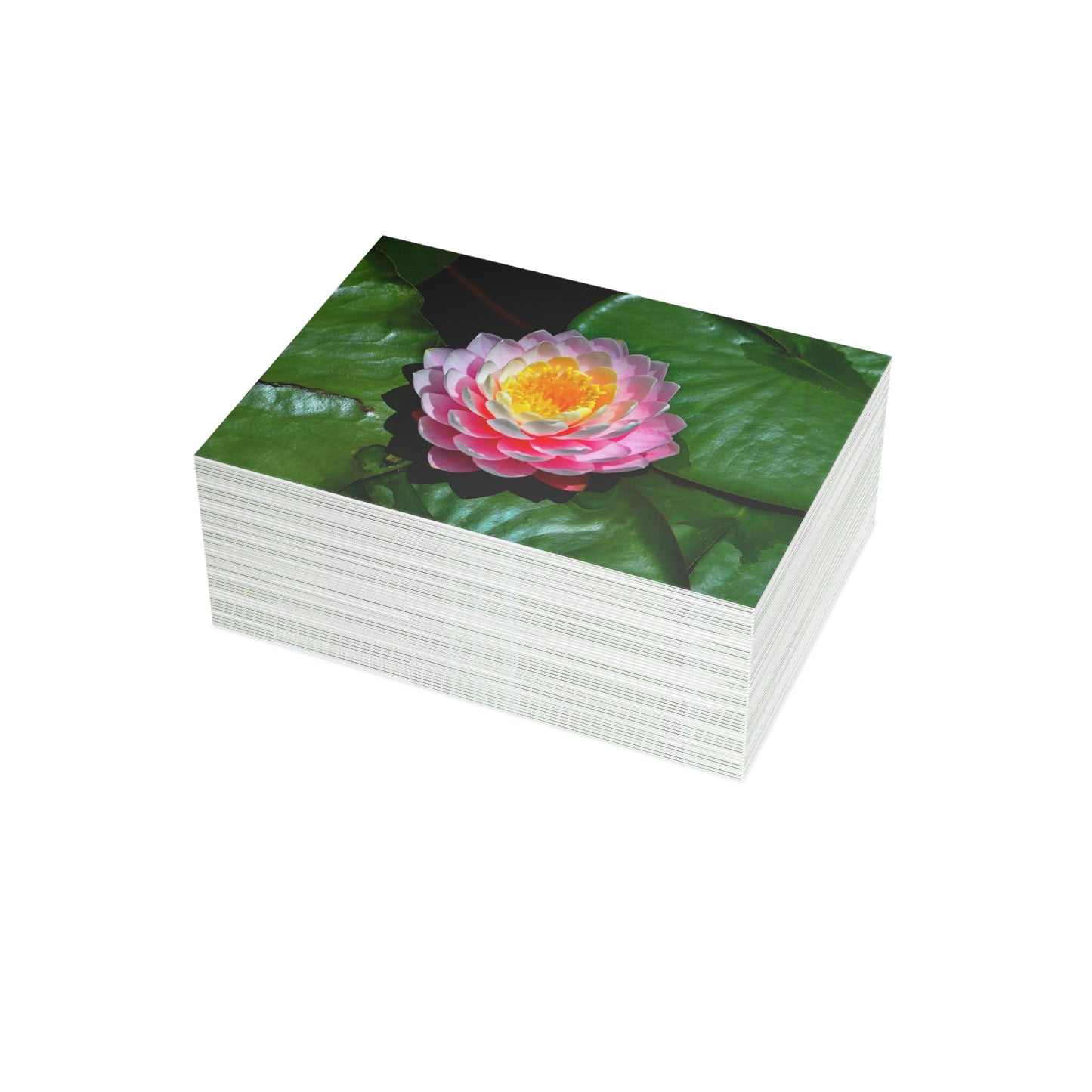 Flowers 25 Greeting Card Bundles (envelopes not included)