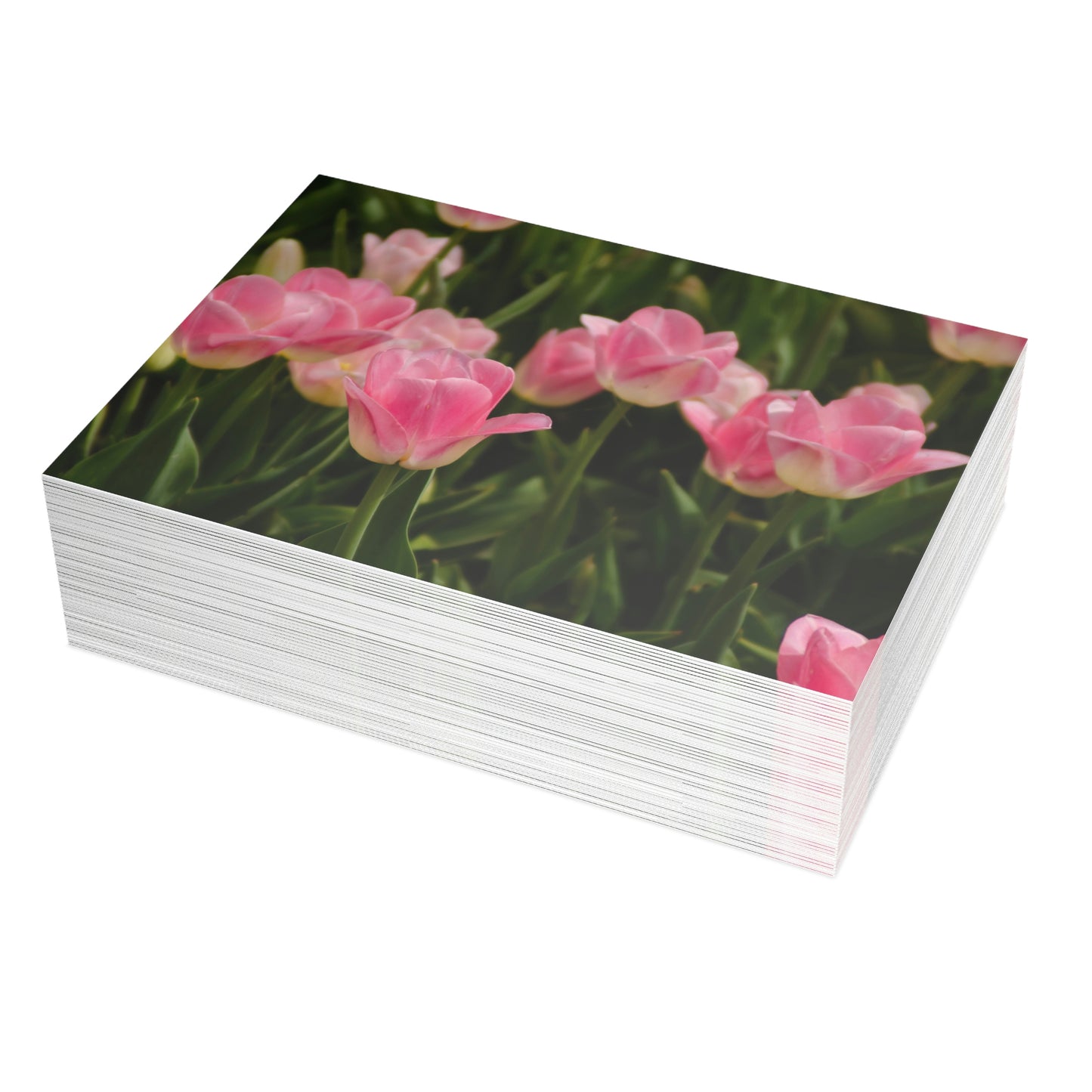 Flowers 17 Greeting Card Bundles (envelopes not included)