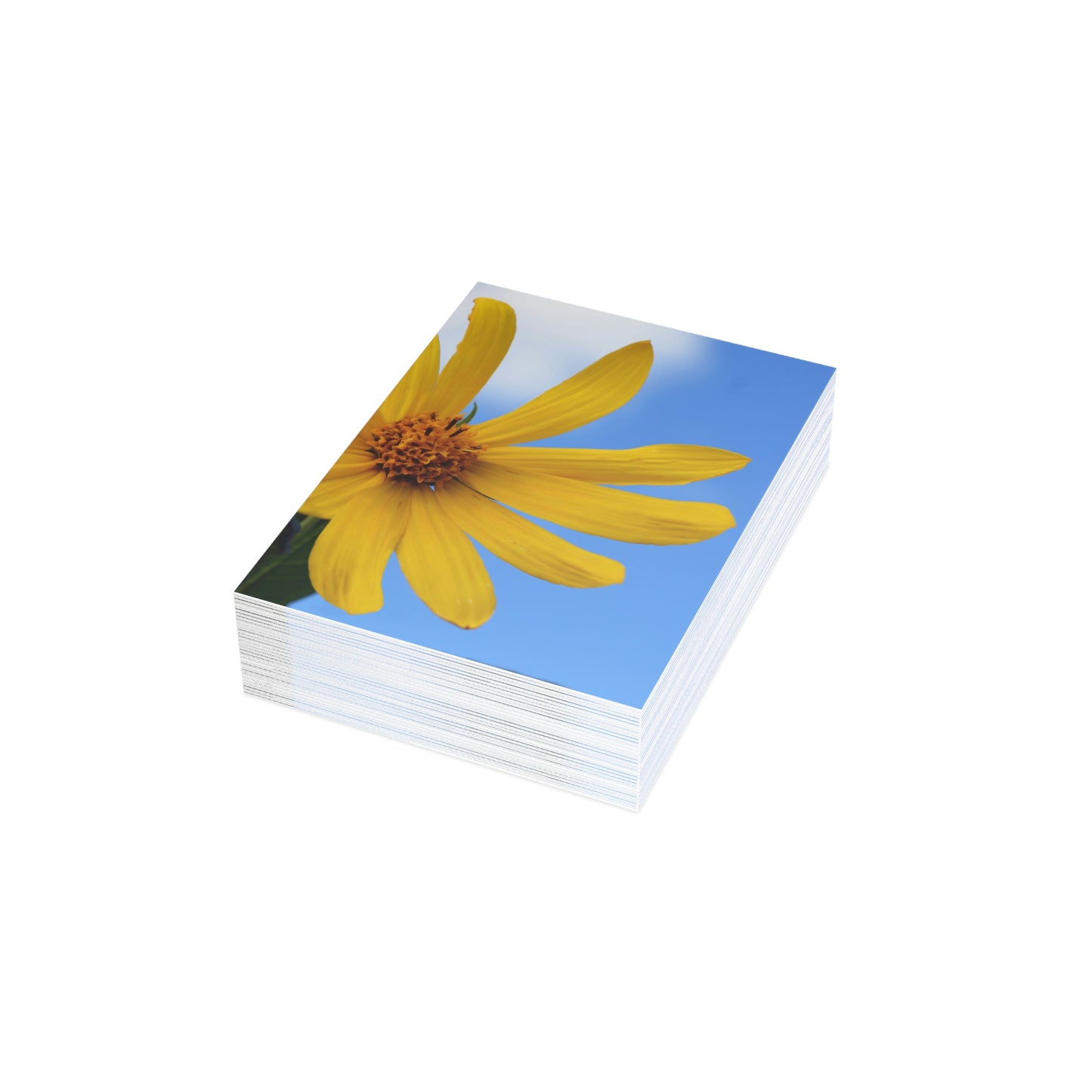 Flowers 32 Greeting Cards (1, 10, 30, and 50pcs)