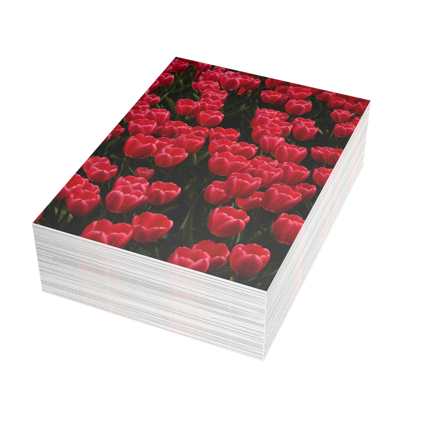 Flowers 21 Greeting Card Bundles (envelopes not included)