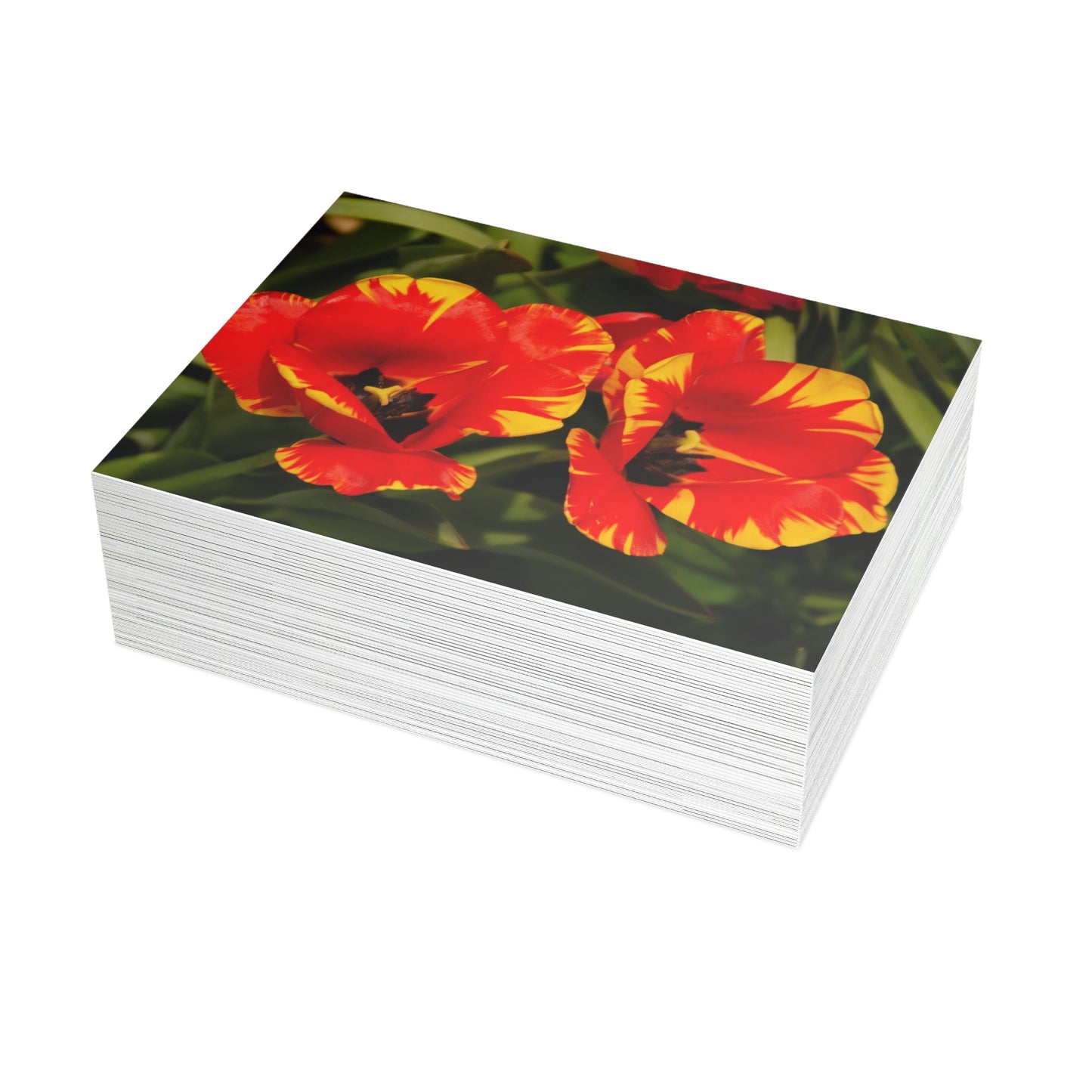 Flowers 12 Greeting Card Bundles (envelopes not included)