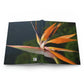 Flowers 25 Hardcover Journal Matte