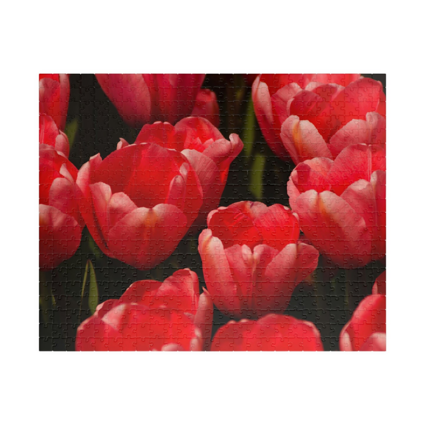 Flowers 09 Puzzle (110, 252, 500, 1014-piece)