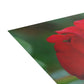 Flowers 14 Greeting Card Bundles (envelopes not included)