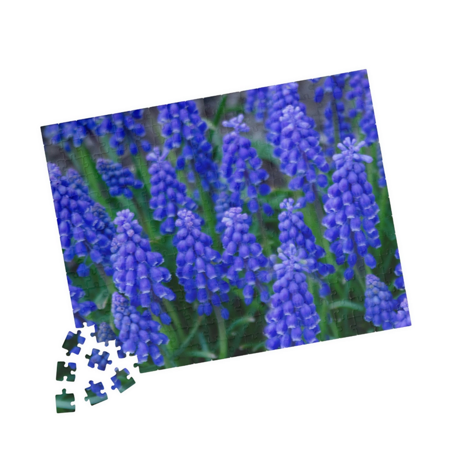 Flowers 11 Puzzle (110, 252, 500, 1014-piece)