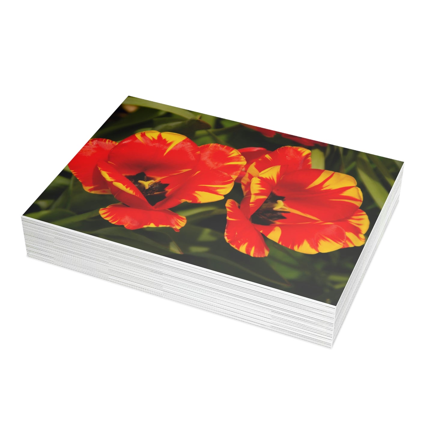 Flowers 12 Greeting Card Bundles (envelopes not included)