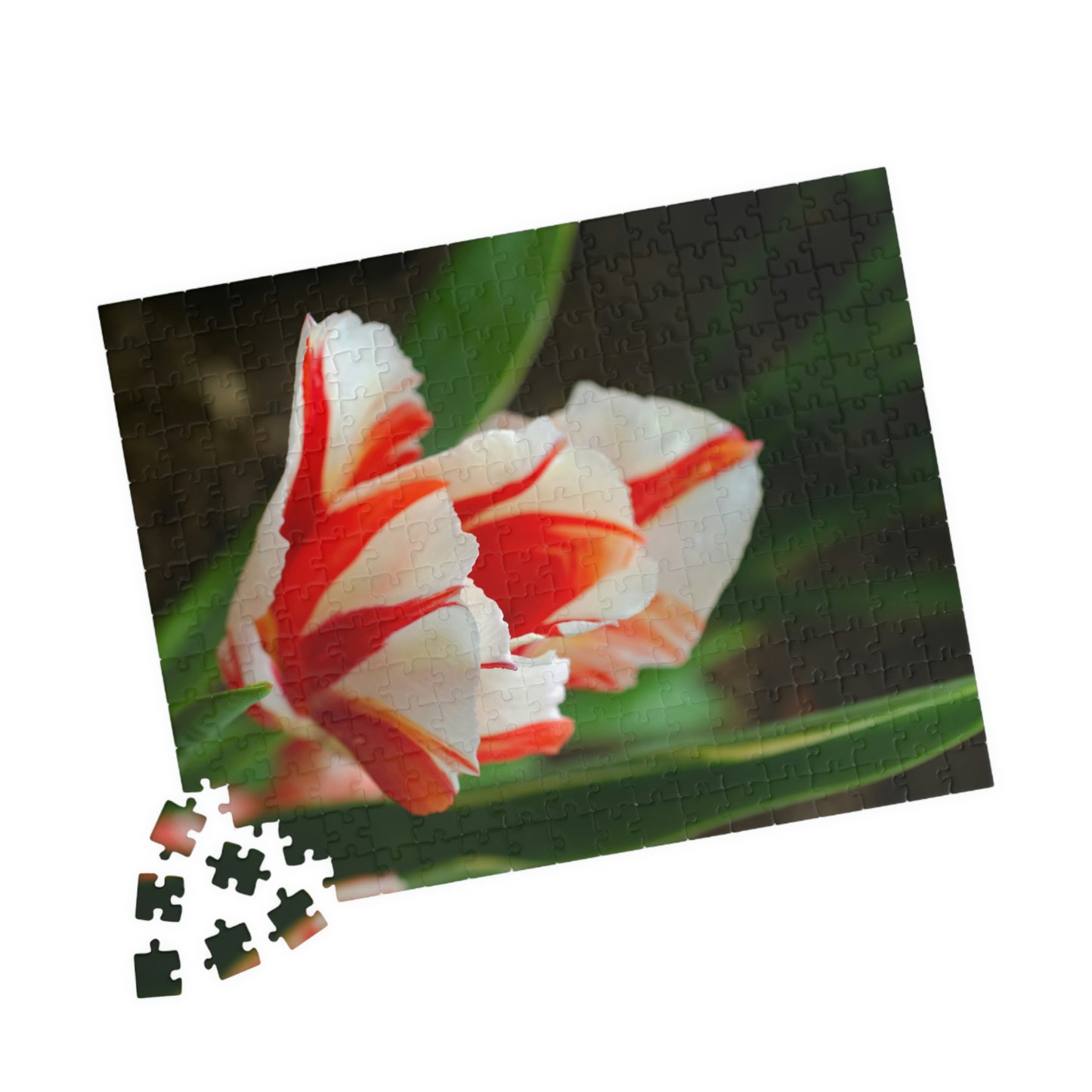 Flowers 06 Puzzle (110, 252, 500, 1014-piece)